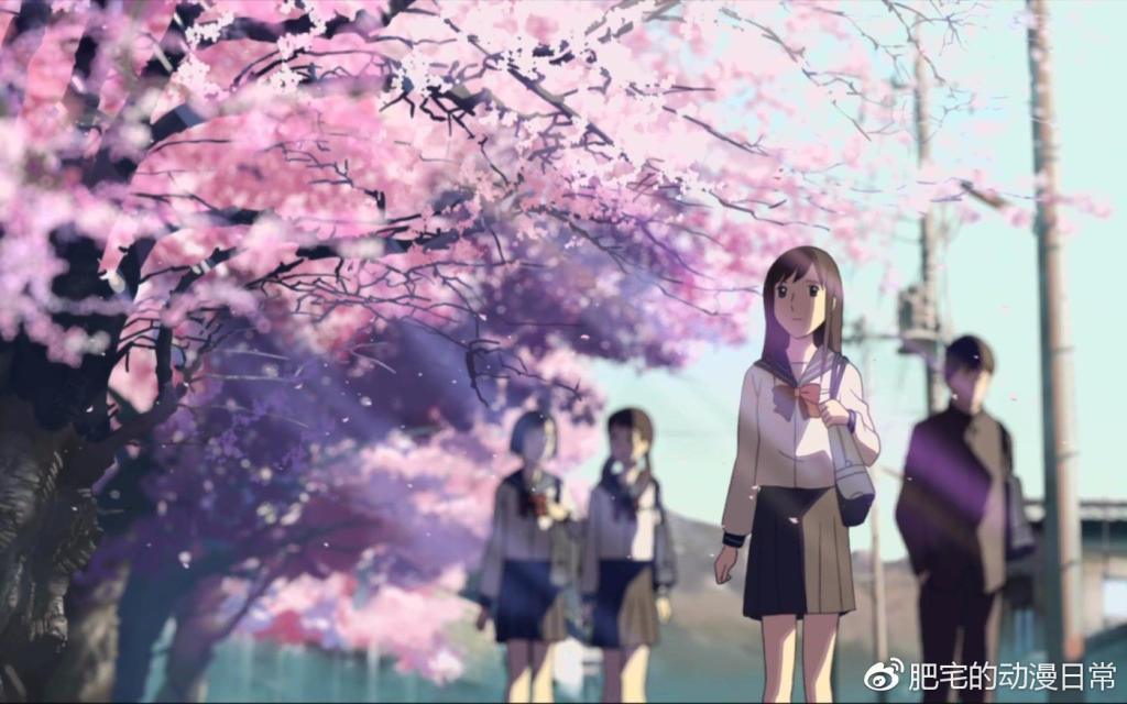 《秒速五厘米》：樱花树下的距离美学